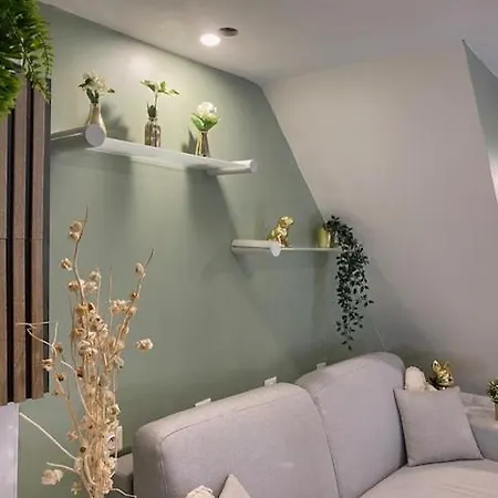 Centre Historique Proche Et Chateau Daire